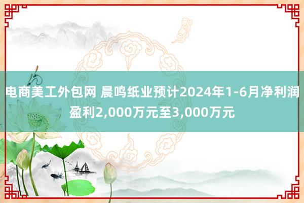 电商美工外包网 晨鸣纸业预计2024年1-6月净利润盈利2,000万元至3,000万元